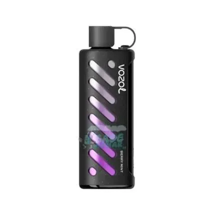 Vozol Shisha 25000 Puff Berry Mint