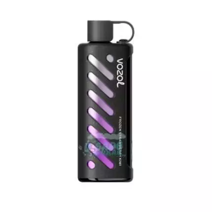 Vozol Shisha 25000 Puff Strawberry Kiwi