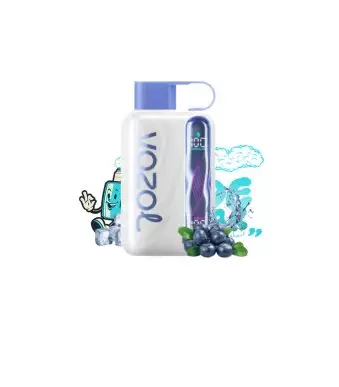 Vozol Star 40000 Blueberry Ice